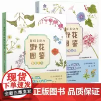 我们身边的野花图鉴(春夏篇+秋冬篇套装共2册)