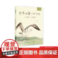 冬冬的第一次飞行硬壳精装附赠寻找信天翁动画及电子书周逸芬著绘本和英图画书正版童书
