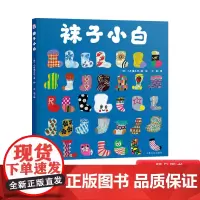 袜子小白精装绘本图画书故事考验孩子的观察力让他们根据袜子的数字和形状大小猜一猜适合亲子阅读海豚正版童书