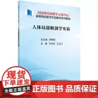 人体局部解剖学实验