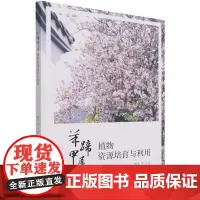 羊蹄甲属植物资源培育与利用 魏丹|责编:于晓文//于界芬 著 植物专业科技 正版图书籍 中国林业出版社