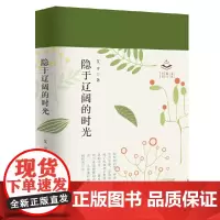 隐于辽阔的时光
