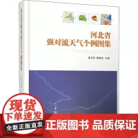 河北省强对流天气个例图集 连志鸾,杨晓亮 编 地球物理学专业科技 正版图书籍 气象出版社