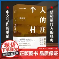 一个人的村庄 刘亮程 著 新疆乡土作家刘亮程经典之作 姊妹篇在新疆获鲁迅文学奖 中国当代文学 正版图书籍 译林出版社
