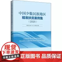 中国少数民族地区精准扶贫案例集(2020) 张丽君 等 著 中国经济/中国经济史经管、励志 正版图书籍 中国经济出版社