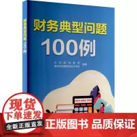 财务典型问题100例 水利部财务司,黄河水利委员会会计学会 编 无 译 会计经管、励志 正版图书籍 中国水利水电出版社