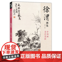 徐渭画集