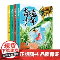 奇迹少年(套装全4册)