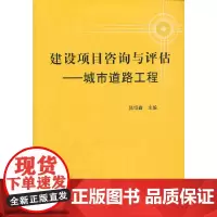 建设项目咨询与评估——城市道路工程