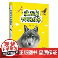 沈石溪动物故事(“动物小说大王”沈石溪获奖作品集,送给孩子的动物故事)