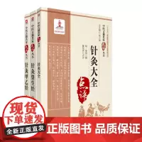 中医古籍名家点评丛书 针灸大全+针灸甲乙经+针灸资生经 三本套装 逐日人神歌 孙思邈先生针十三鬼穴歌 古代中医临床实践经