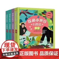 探秘小世界 自然篇-草原+海洋+夜晚+雨林 共4册