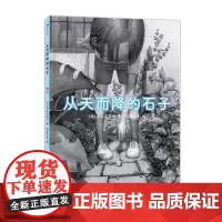 从天而降的石子 5岁以上炭笔手绘童年幻想宇宙日本艺术绘本图画故事亲子阅读睡前故事书 浪花朵朵童书