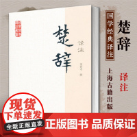 楚辞译注 国学经典译注丛书 简体横排 大众普及本 董楚平撰 原文注释白话文译文 初读者 经部古典诗歌文学书籍 上海古籍出