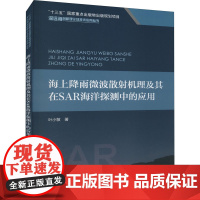 正版书籍 海上降雨微波散射机理及其在SAR 海洋探测中的应用 海上降雨星载微波遥感载荷概况 SAR 海上降雨探测技术研