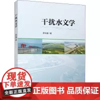 干扰水文学 罗开盛 著 地球物理学专业科技 正版图书籍 气象出版社