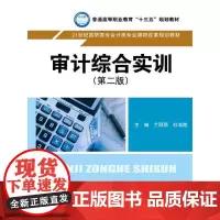 审计综合实训(第二版)(21世纪高职高专会计类专业课程改革规划教材)