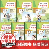 同步专项训练·语文一年级下册(套装)