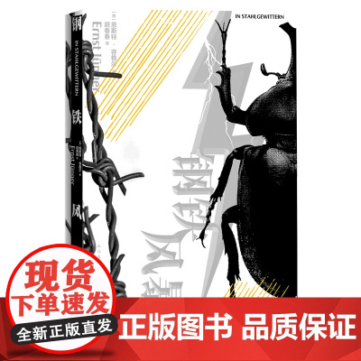钢铁风暴恩斯特容格尔著战记文学德国文学人民文学出版社正版
