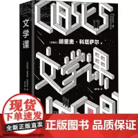文学课 (阿根廷)胡利奥·科塔萨尔 著 林叶青 译 美国/美洲文学小说文学 正版图书籍 南海出版公司
