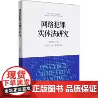 网络犯罪实体法研究 谢鹏程 编 法学理论社科 正版图书籍 中国检察出版社