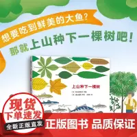 上山种下一棵树 科普生态环保 3-6岁精装一粒种子的旅行前传植物森林动物山海太阳生物链植物和海洋自然爱心树