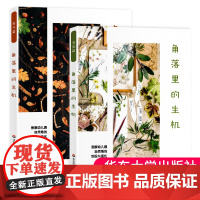 正版角落里的生机春夏篇+秋冬篇2册图解幼儿园自然角的创设与变化胡洁著12个主题72个活动案例幼儿科学素养环境创设大夏书系