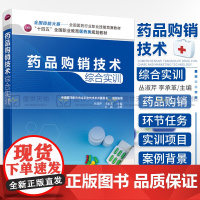 药品购销技术综合实训 十四五 全国职业教育医药类规划教材 药品购销 药品购销实训 丛淑芹 李承革 主编 化学工业出版社