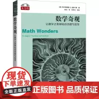 数学奇观 让数学之美带给你灵感与启发 (美)阿尔弗雷德·S.波萨门蒂 著 涂泓 译 数学文教 正版图书籍 上海科技教育出
