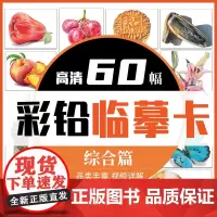 彩铅临摹卡综合篇60幅 一线美誉步骤对应视频详解美术绘画卡片兴趣高清原创叶