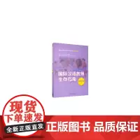 国际汉语教师生存指南·课堂管理篇·上