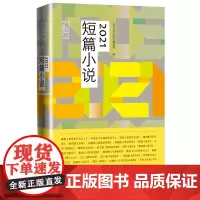 21世纪年度小说选鲁敏叶兆言张者等著当代小说人民文学