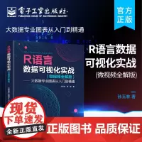 正版 R语言数据可视化实战 微视频全解版 大数据专业图表从入门到精通 常用的数据可视化方法及R语言应用包的使用方法讲解