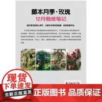 正版 藤本月季 玫瑰12月栽培笔记 NHK趣味园艺 种植技术 养花技巧 经典图书 养花 盆栽 庭园