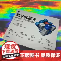 数字化魔方 数字化转型的创新思维模式 韦玮 张恩铭 徐卫华 战略 方法论 执行 组织 人才 文化塑造 实操框架 全景视图