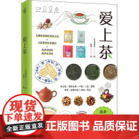 爱上茶 日本翔泳社 著 游凝 译 茶类书籍生活 正版图书籍 江苏凤凰文艺出版社