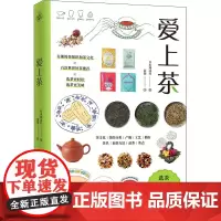 爱上茶 日本翔泳社 著 游凝 译 茶类书籍生活 正版图书籍 江苏凤凰文艺出版社