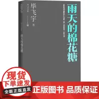 雨天的棉花糖毕飞宇著中篇小说毕飞宇文集人民文学正版