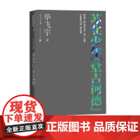 苏北少年堂吉诃德毕飞宇著散文人民文学出版社