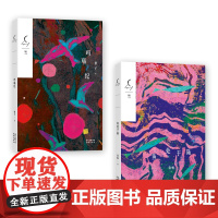 玛瑙纪+鱼处于陆 黎子,徐畅著 短篇小说集文学 花城出版社正版书籍