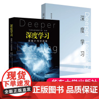 深度学习超越21世纪技能+深度学习全2册解构学习共同体走向深度学习教育挑战学习方法研究大夏书系华东师范大学出版社深度学习