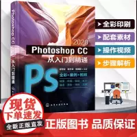 Photoshop CC 2020从入门到精通 轻松自学Photoshop 全彩图解视频 精通中文版Photoshop