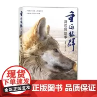 [海南出版社] 重返狼群背后的故事 高洪波,曹,沈石溪,韩雪倾情 关于亲情、关于生命、关于自由、关于自然的思考