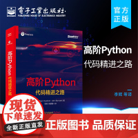 正版 高阶Python:代码精进之路 Python语言常见数据类型的高级用法Python编程大规模数据处理 布赖恩·欧弗