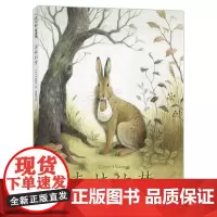 森林的梦 (日)今井彩乃 著 [日] 今井彩乃 编 范晓星 译 绘本/图画书/少儿动漫书少儿 正版图书籍 新星出版社