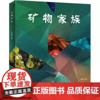 矿物家族 范陆薇 编 科普百科文教 正版图书籍 崇文书局