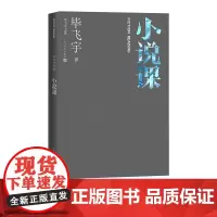 小说课毕飞宇著文学欣赏毕飞宇文集人民文学出版社