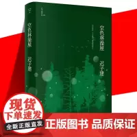 正版 空色林澡屋 迟子建作品 茅盾文学奖 鲁迅文学奖 五段俗世传奇 当代文学短篇小说故事集书 作家出版社