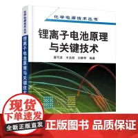 化学电源技术丛书--锂离子电池原理与关键技术 黄可龙 著 自由组合套装专业科技 正版图书籍 化学工业出版社