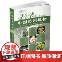 中国药用植物 二十 药学 本书可供药物研究 教育 资源开发利用及科普参考使用 叶华谷 易思荣 付绍智 曾飞燕 主编 化学